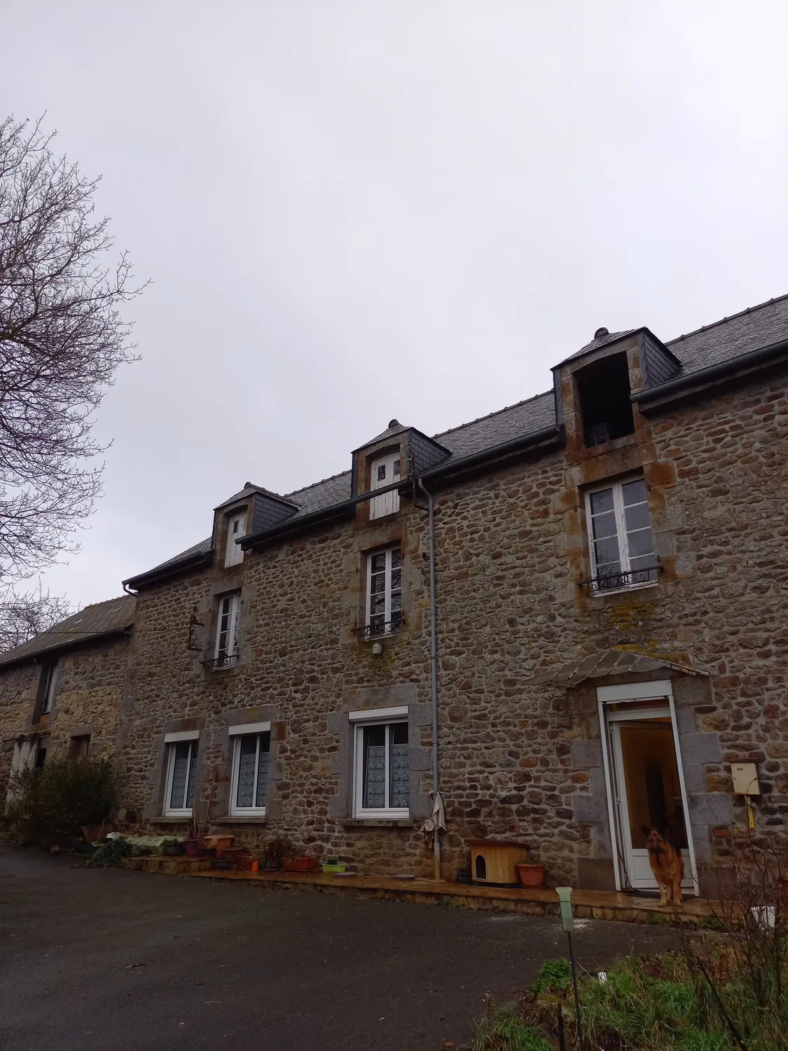 before-image